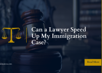 Can a Lawyer Speed Up My Immigration Case?
