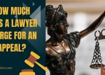 How Much Does a Lawyer Charge for an Appeal?