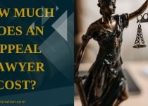 How Much Does an Appeal Lawyer Cost?